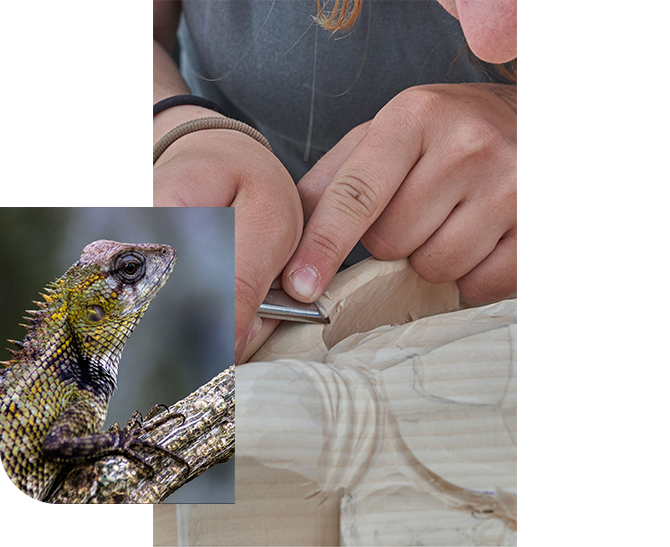 eine Frau arbeitet mit einem kleinen Meißel an einem Stück Holz - in einem überlagerten Bild ist ein Chamäleon als Symbol der ständigen Veränderung zu sehen